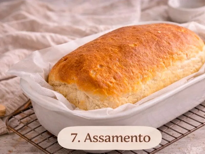 Passo 7